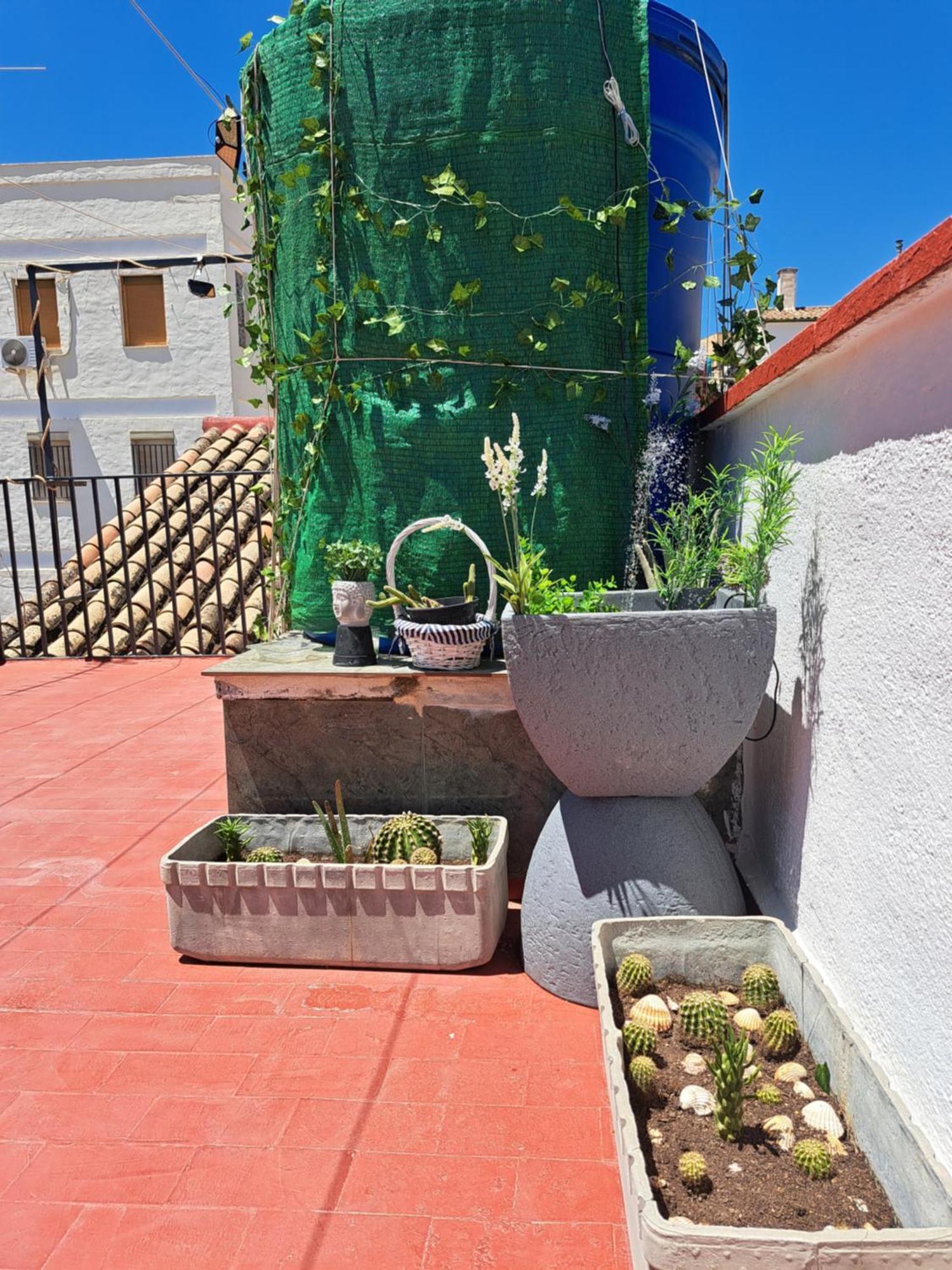 Appartement Casa Paloma à Jaén Extérieur photo